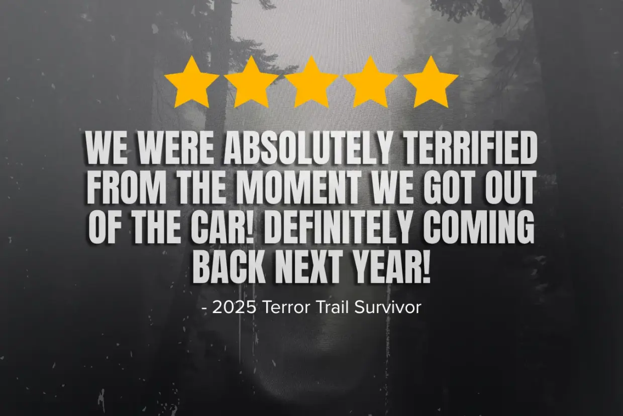 Website Review 2